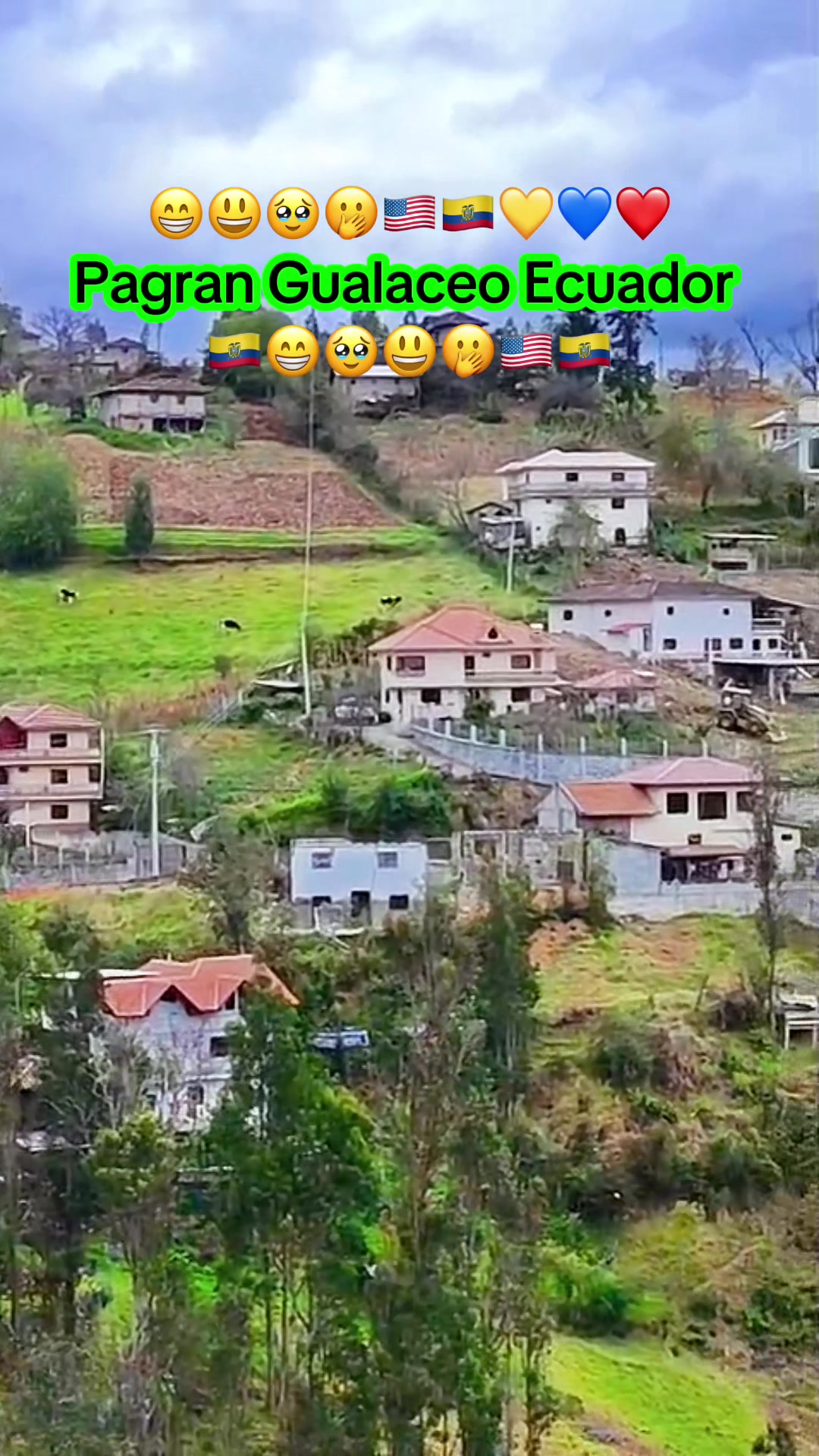 @Zhicay450