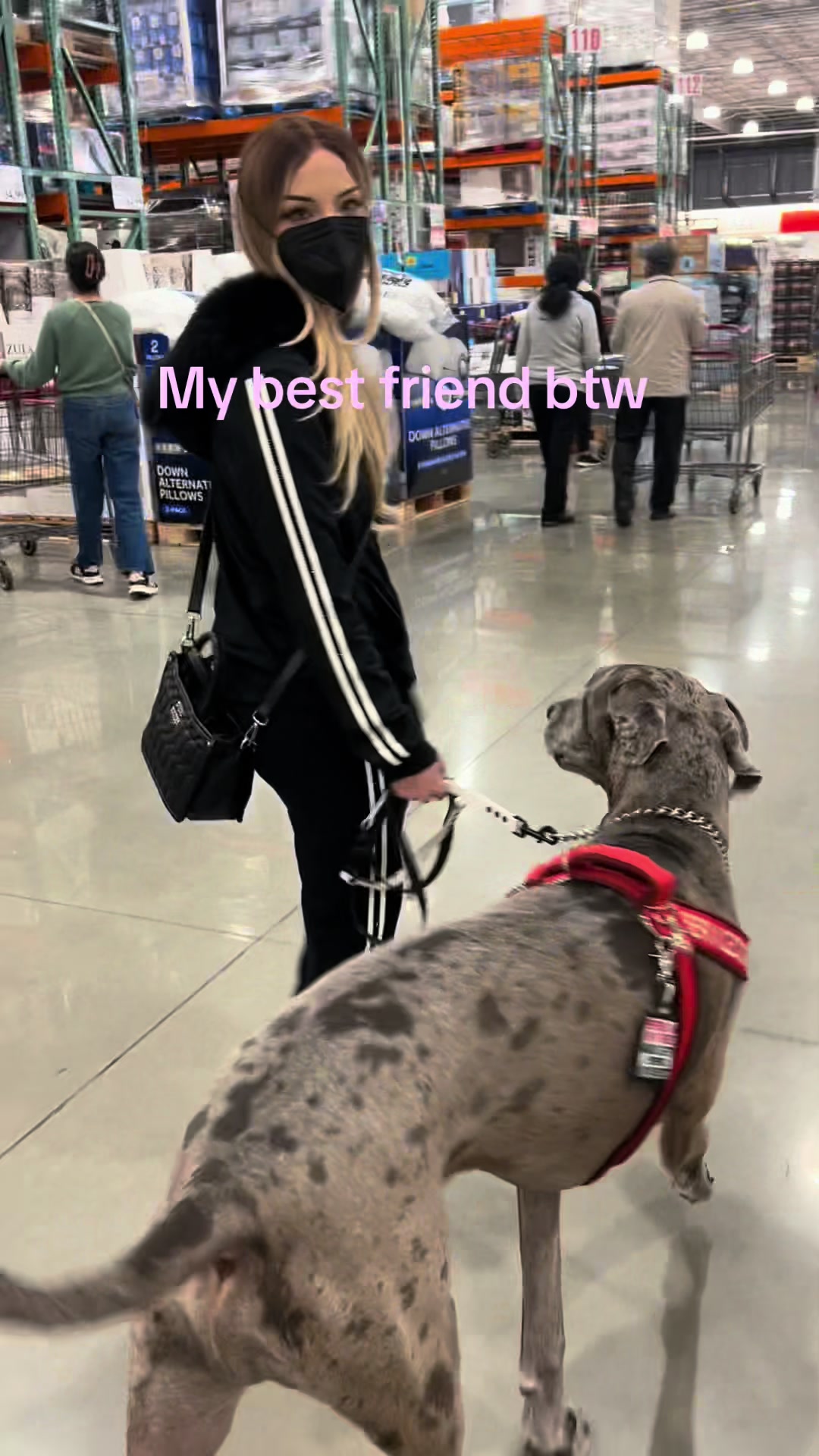 @lex 🐺⛓️
