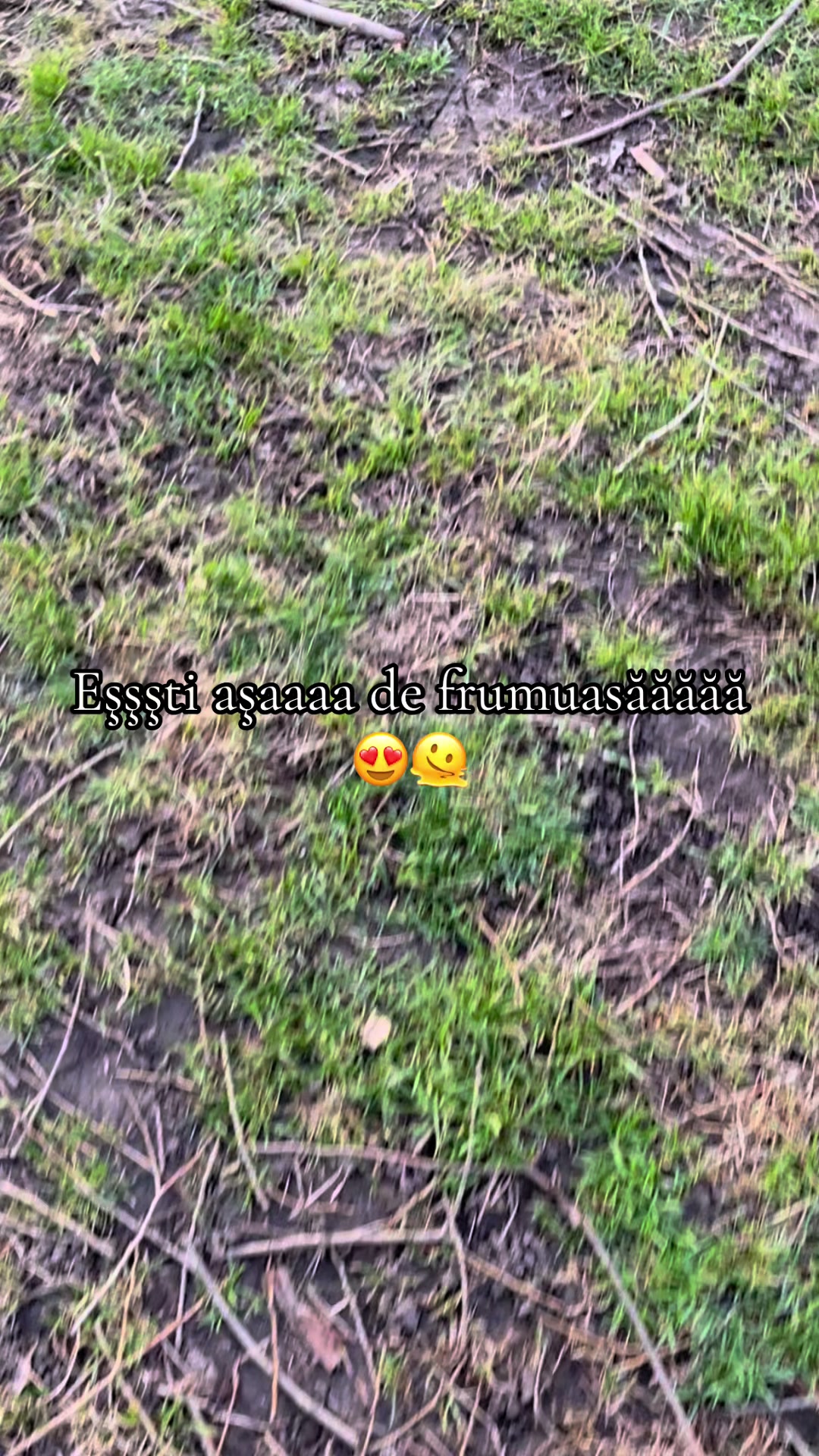 @Damy🦅🐊