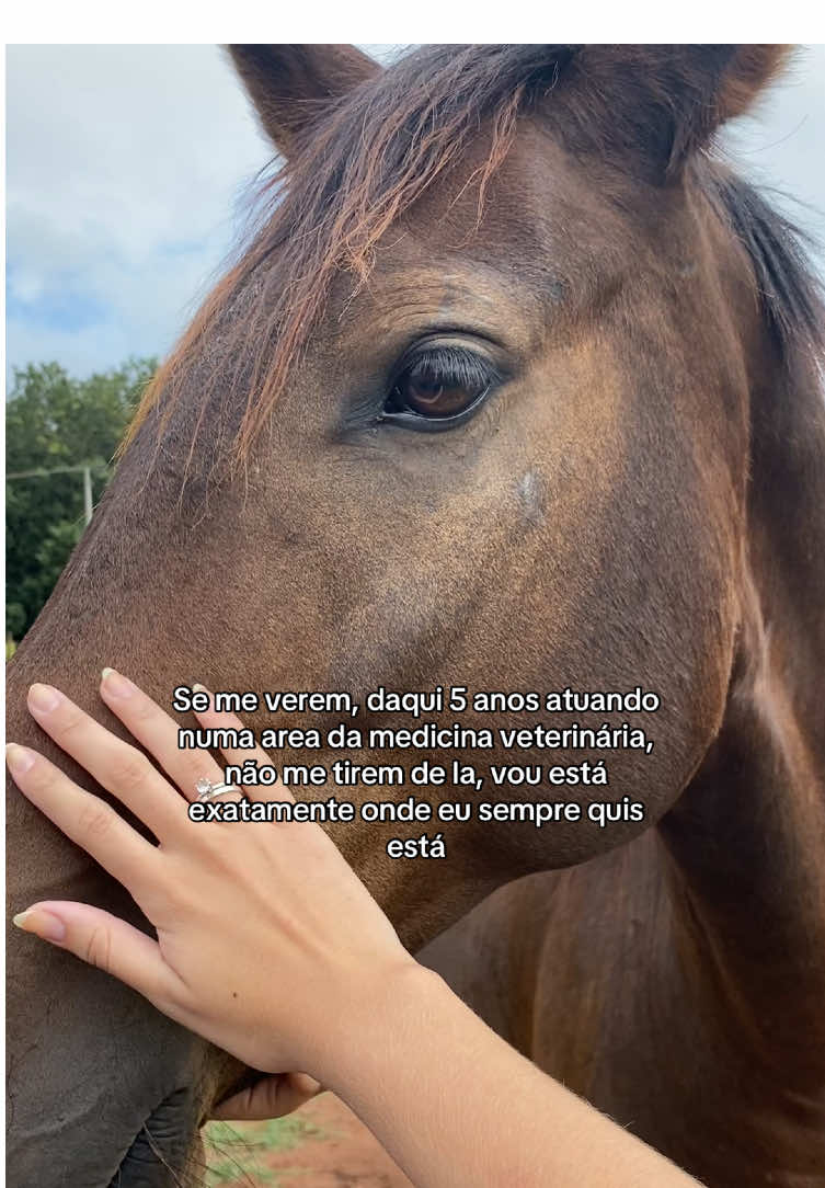 @Lele