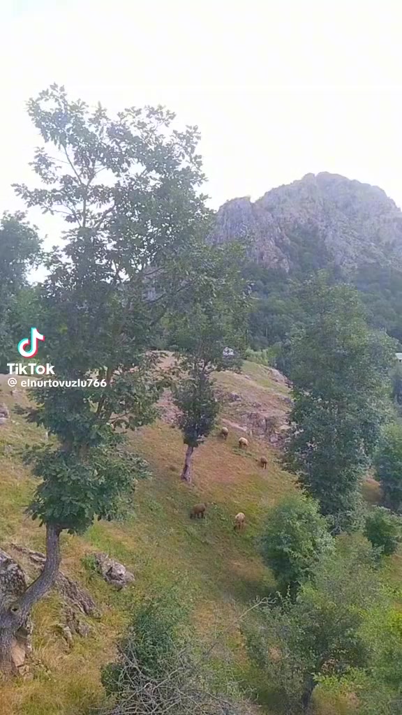 @🎥Sahib operator 🎥0777434390