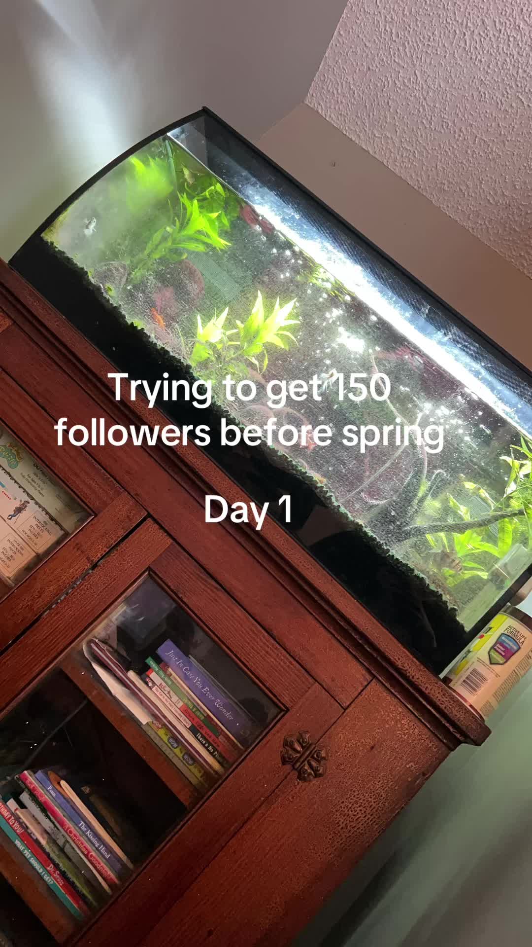 @Maxw3ll.krause