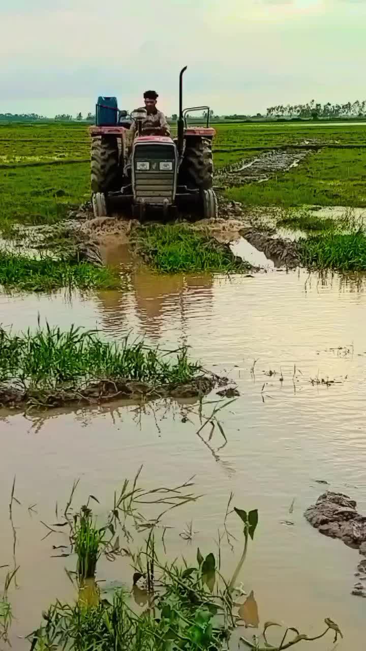@গরিবের বন্ধু জাকির ভাই