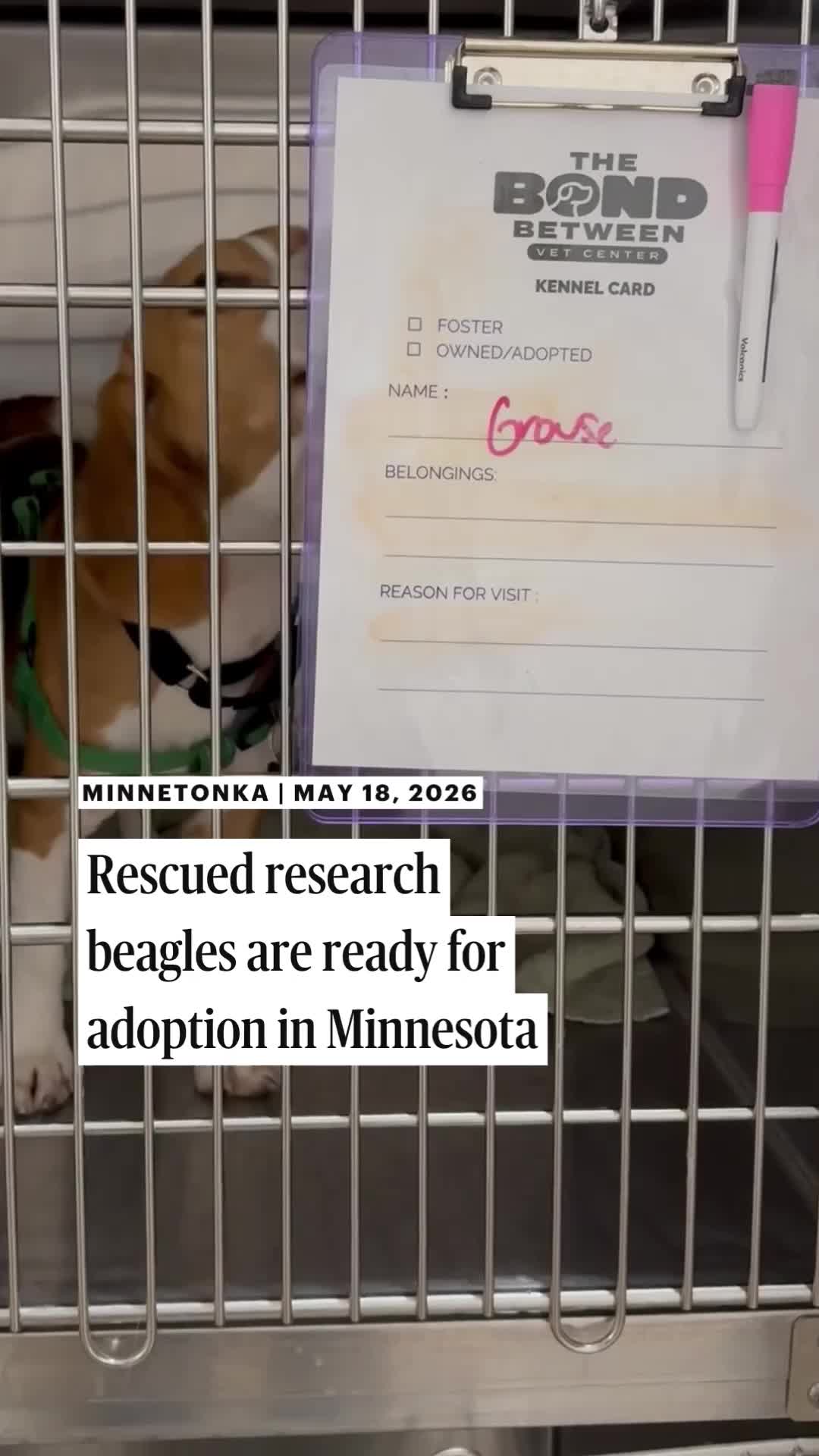 @Minnesota Star Tribune