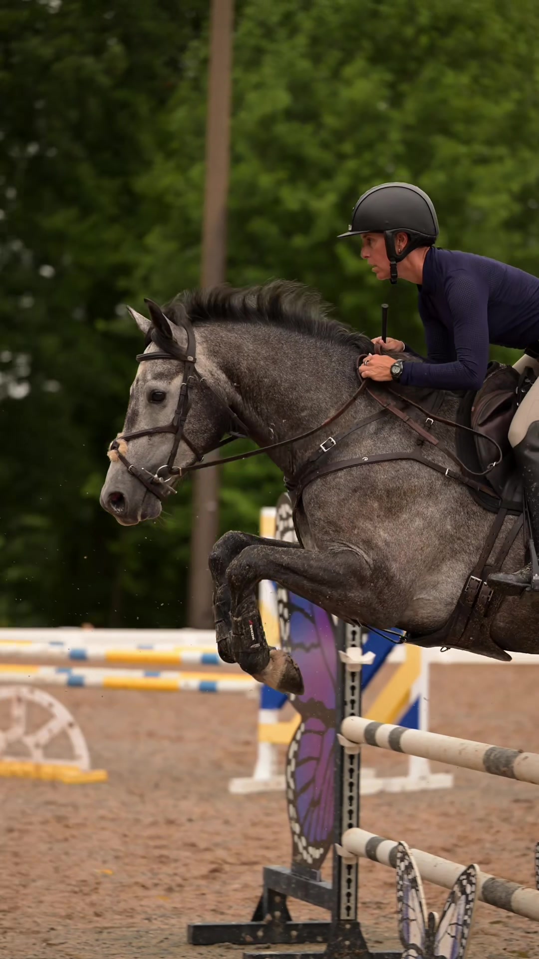 @Free Ride Equestrian
