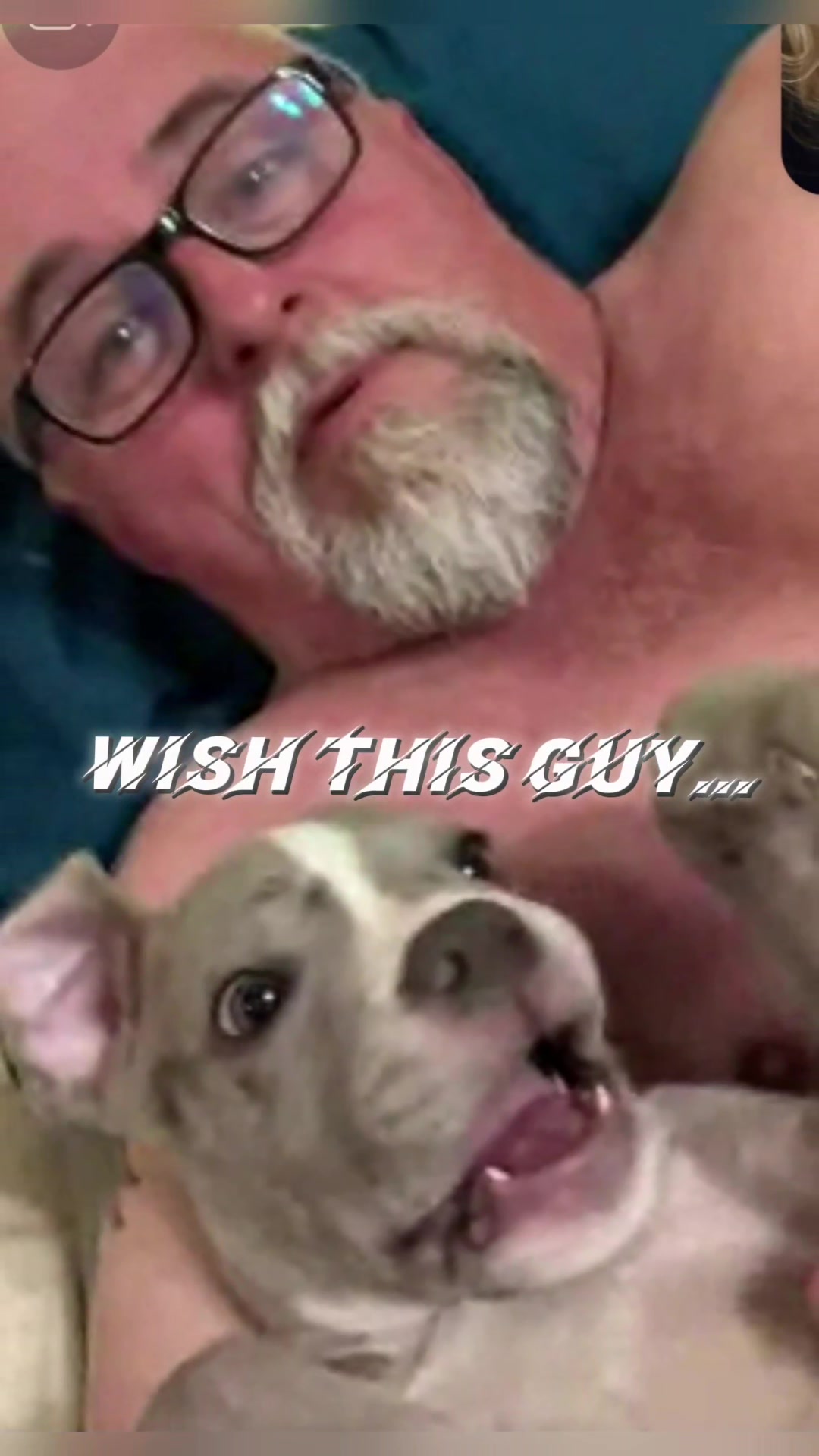@❌️Panda❌️