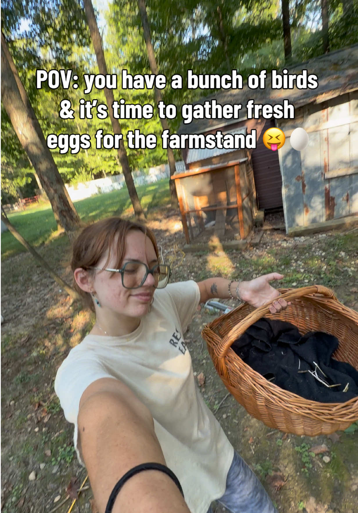 @Haley The Homesteader