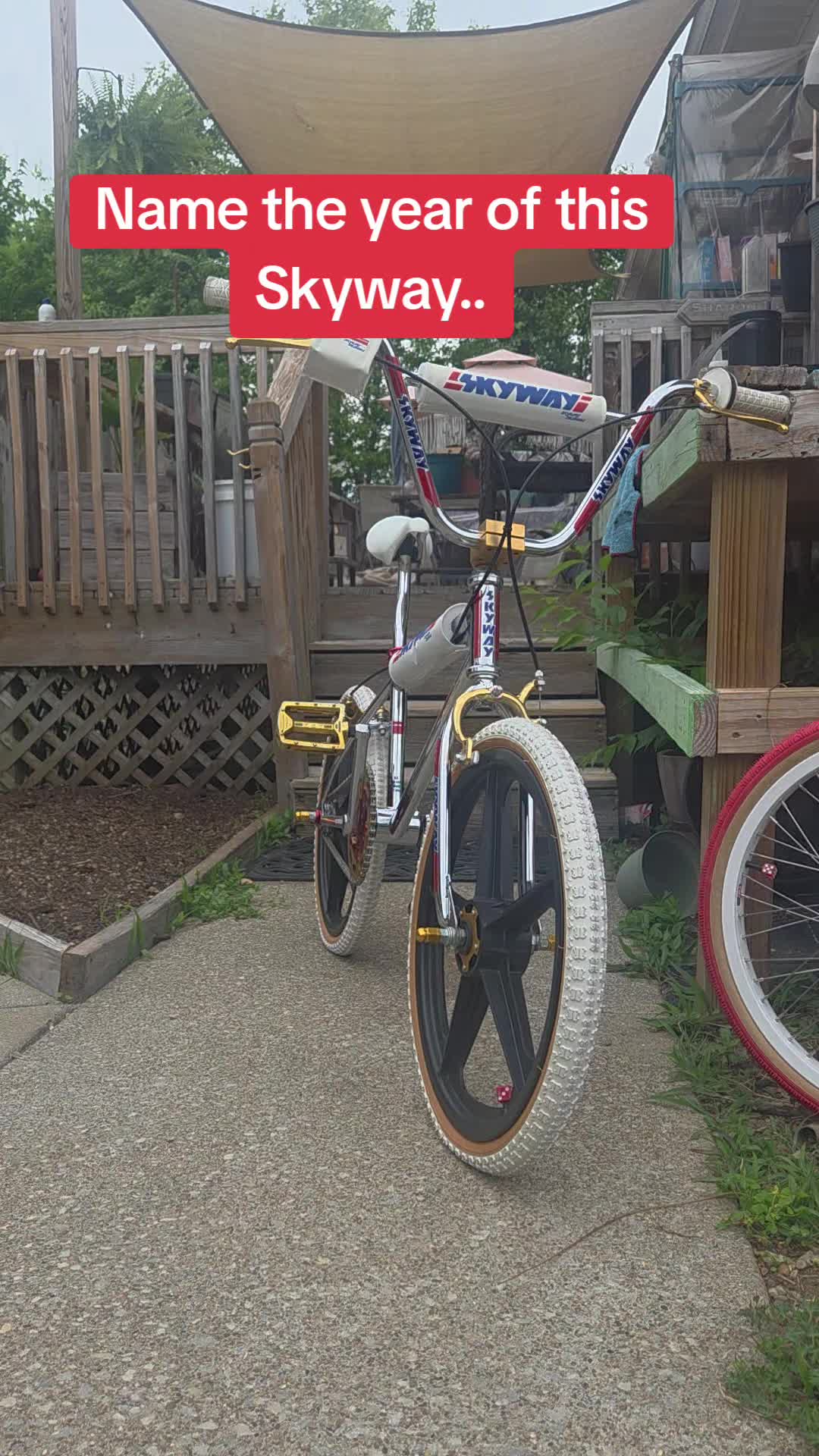 @The Bike Shop - 80s BMX