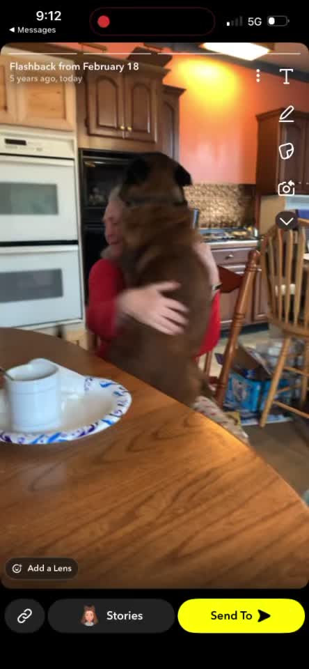 @Ncringdogs