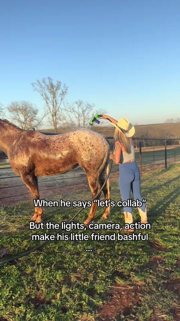@OutlawLacy
