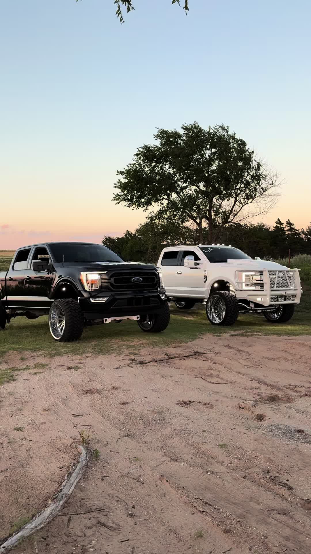 @3.5_Tyler
