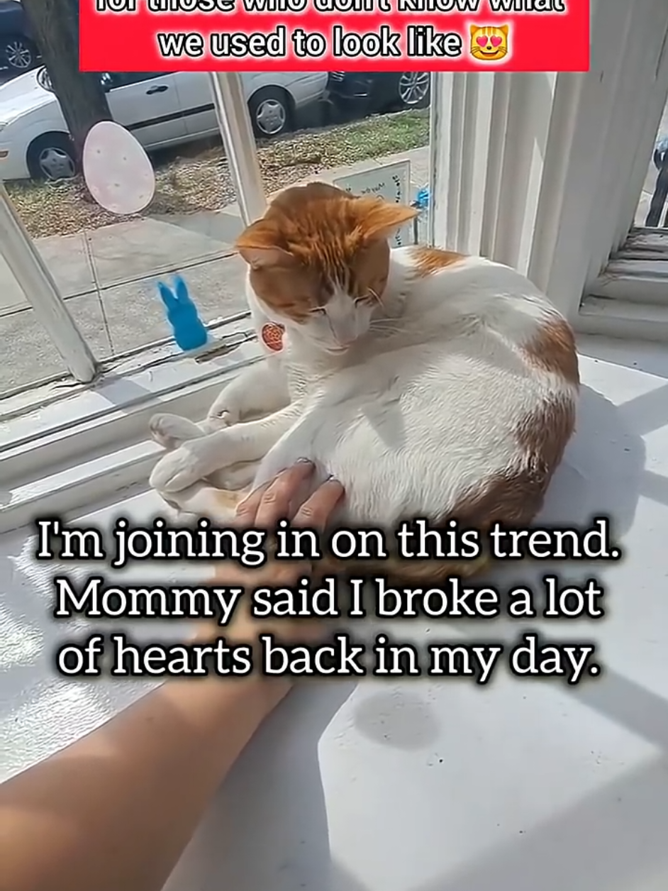 @Candice & Weasley