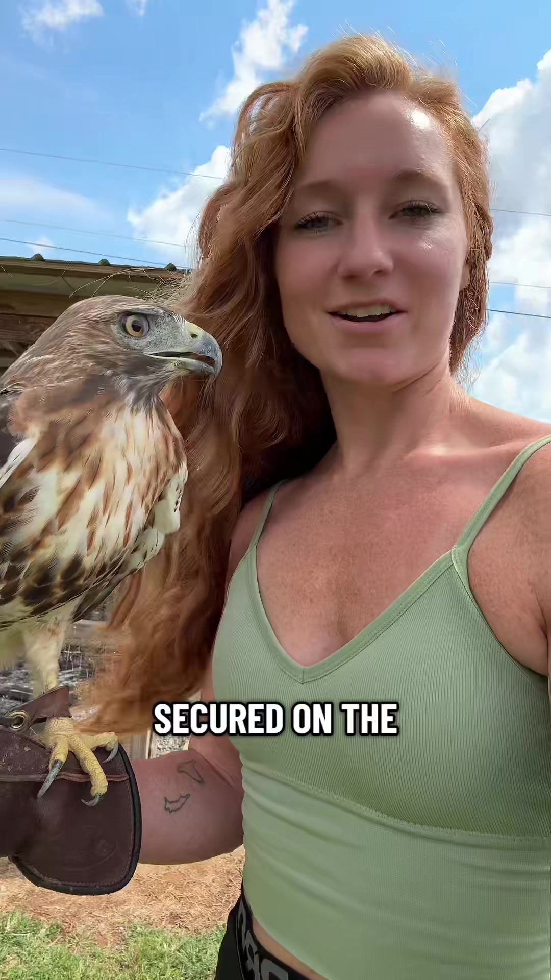 @redheadfalconer