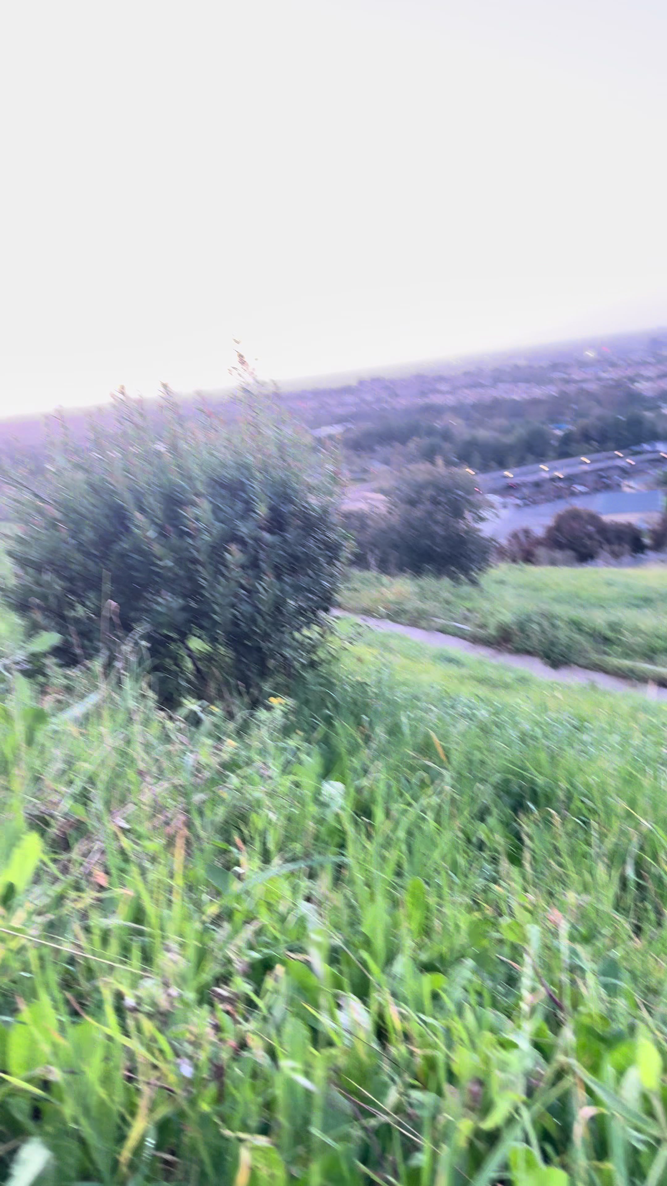 @SoCal.spots