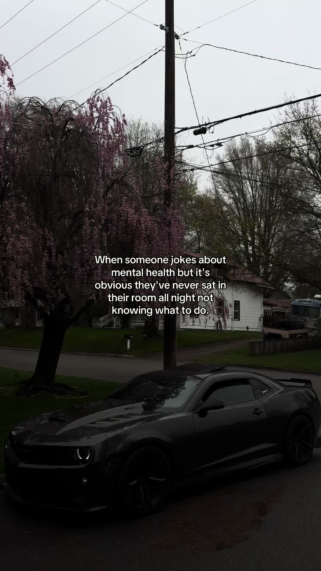 @midnight_zl1