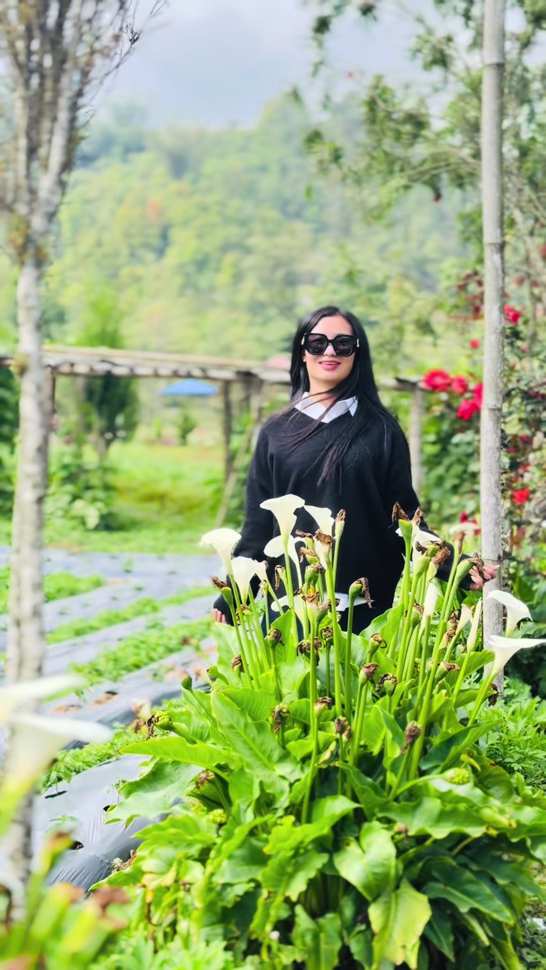 @sabeenakurumbhang
