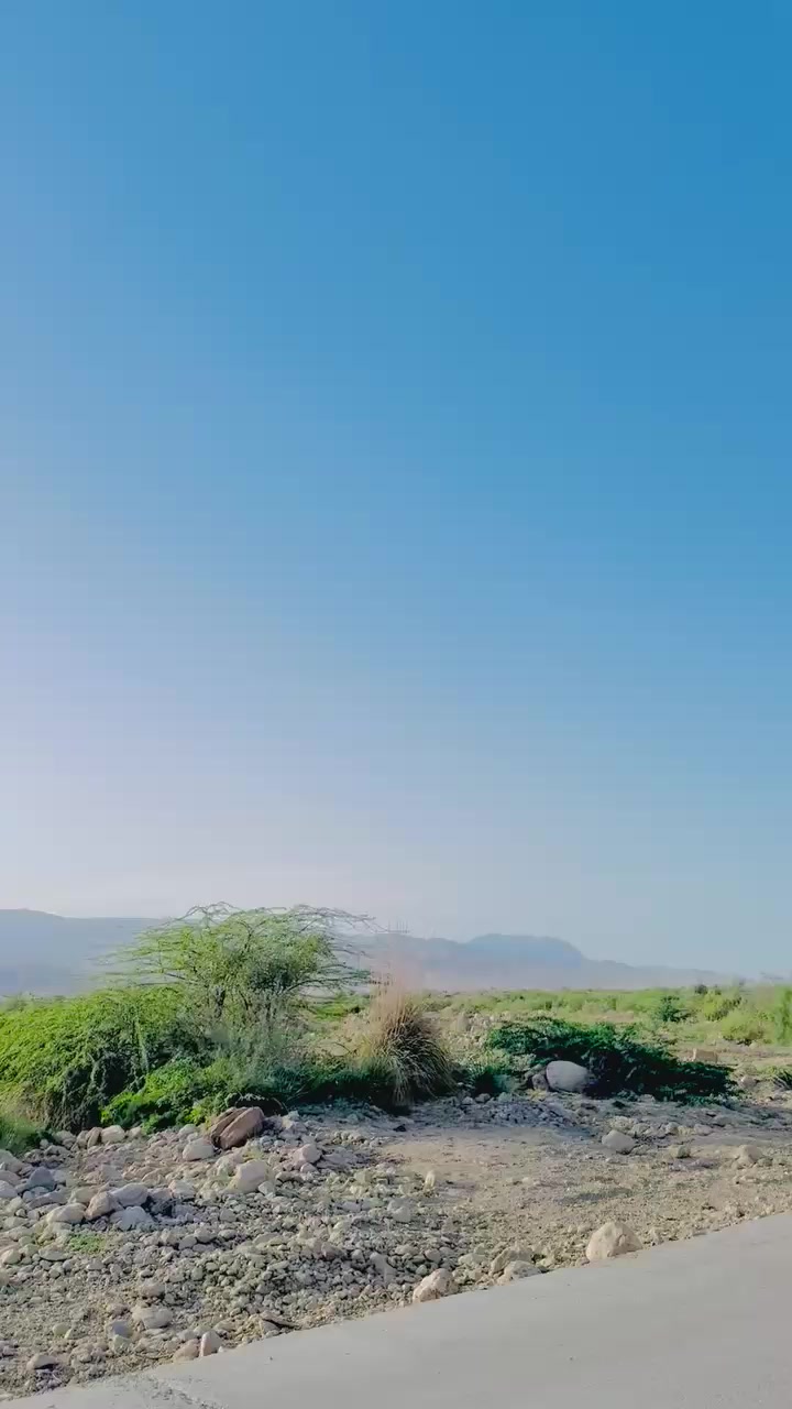 @🇩🇯👑رخشانی صاحب👑 🇩🇯