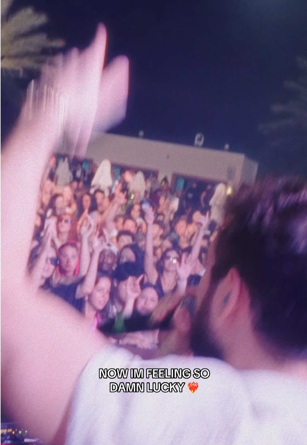@Zedd
