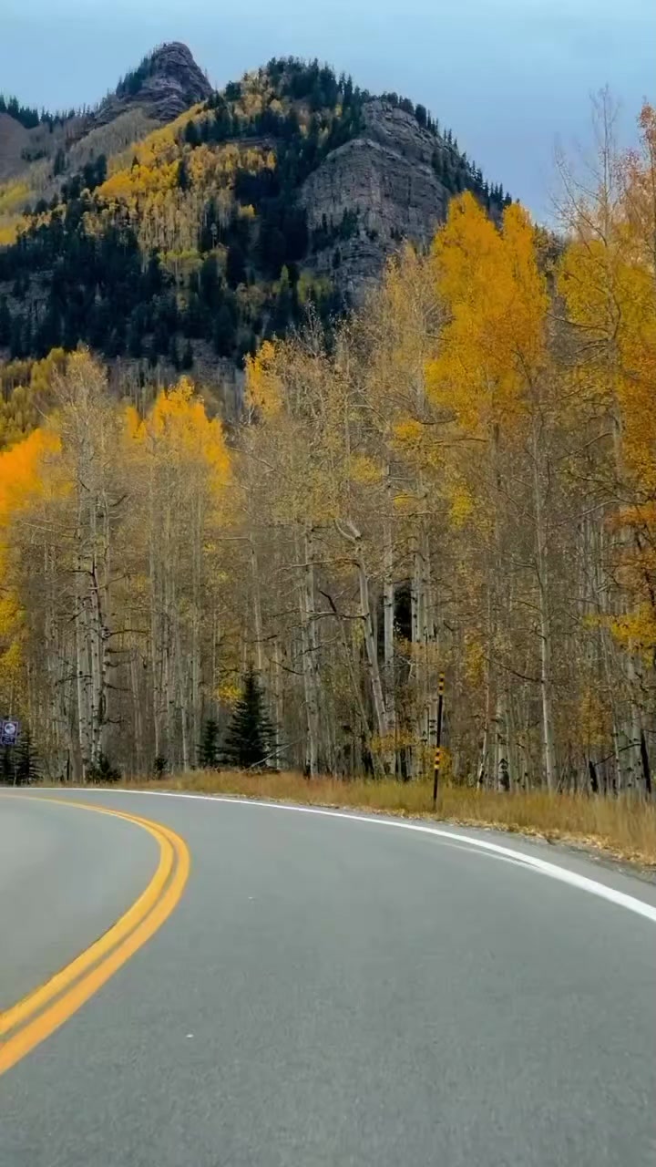 @user50628694049