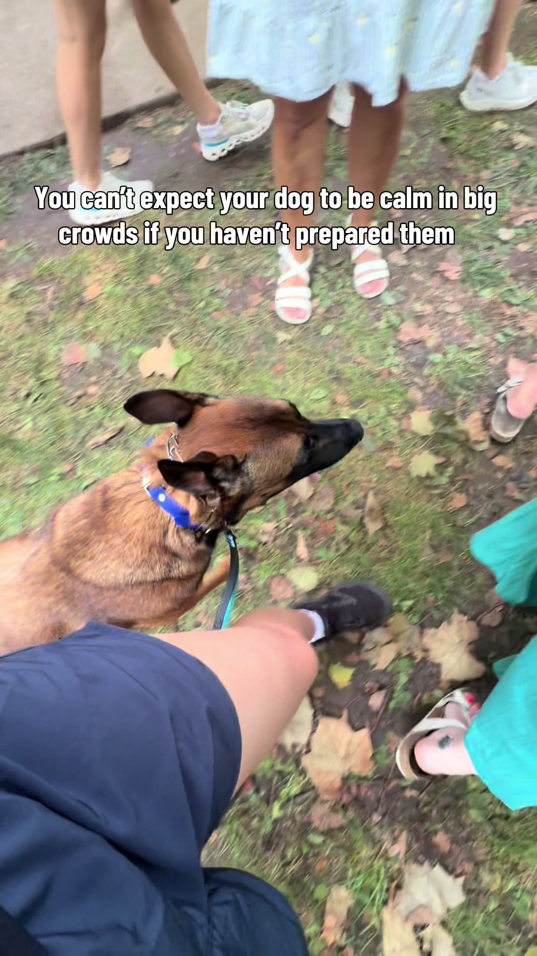 @driven.k9s