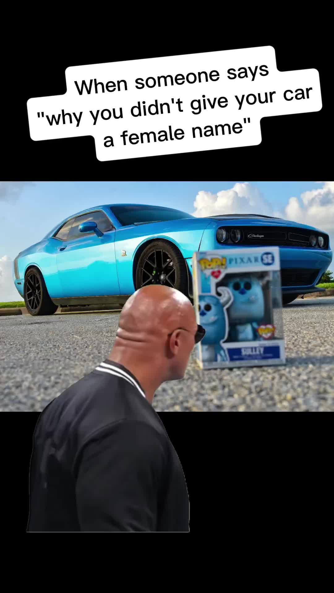 @Dashable Collectibles