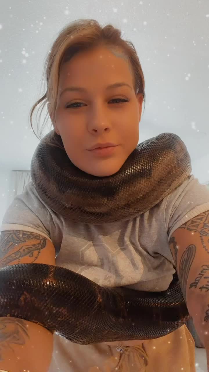 @Medusa Exotics