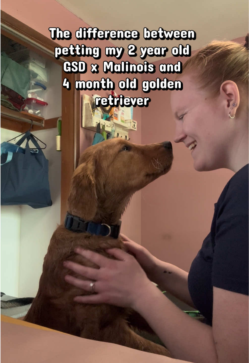 @potsiewithdogs