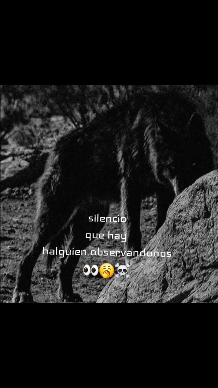 @shusyto G..BLACK BARRY 🥱🔱