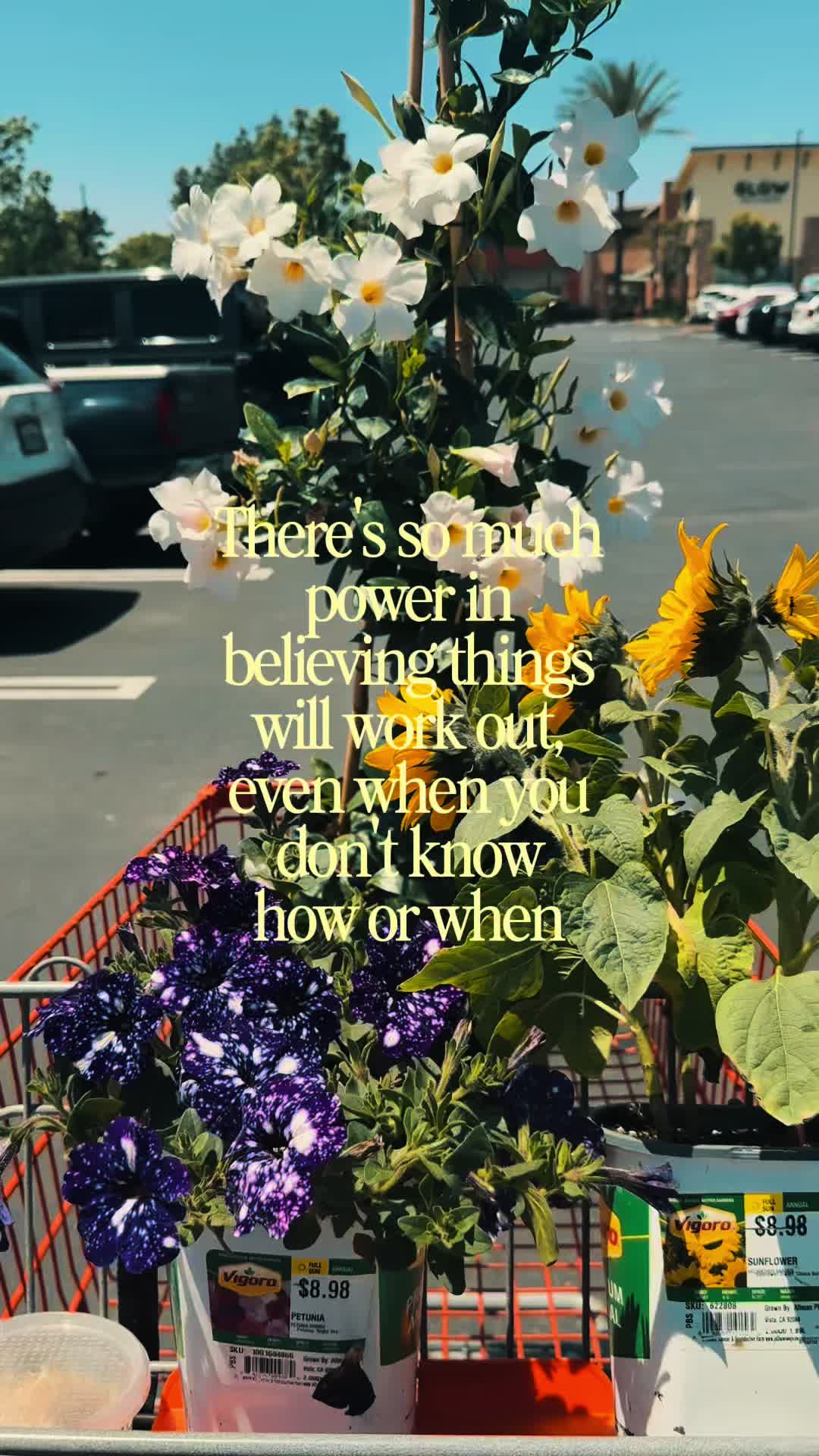 @Lifechanger