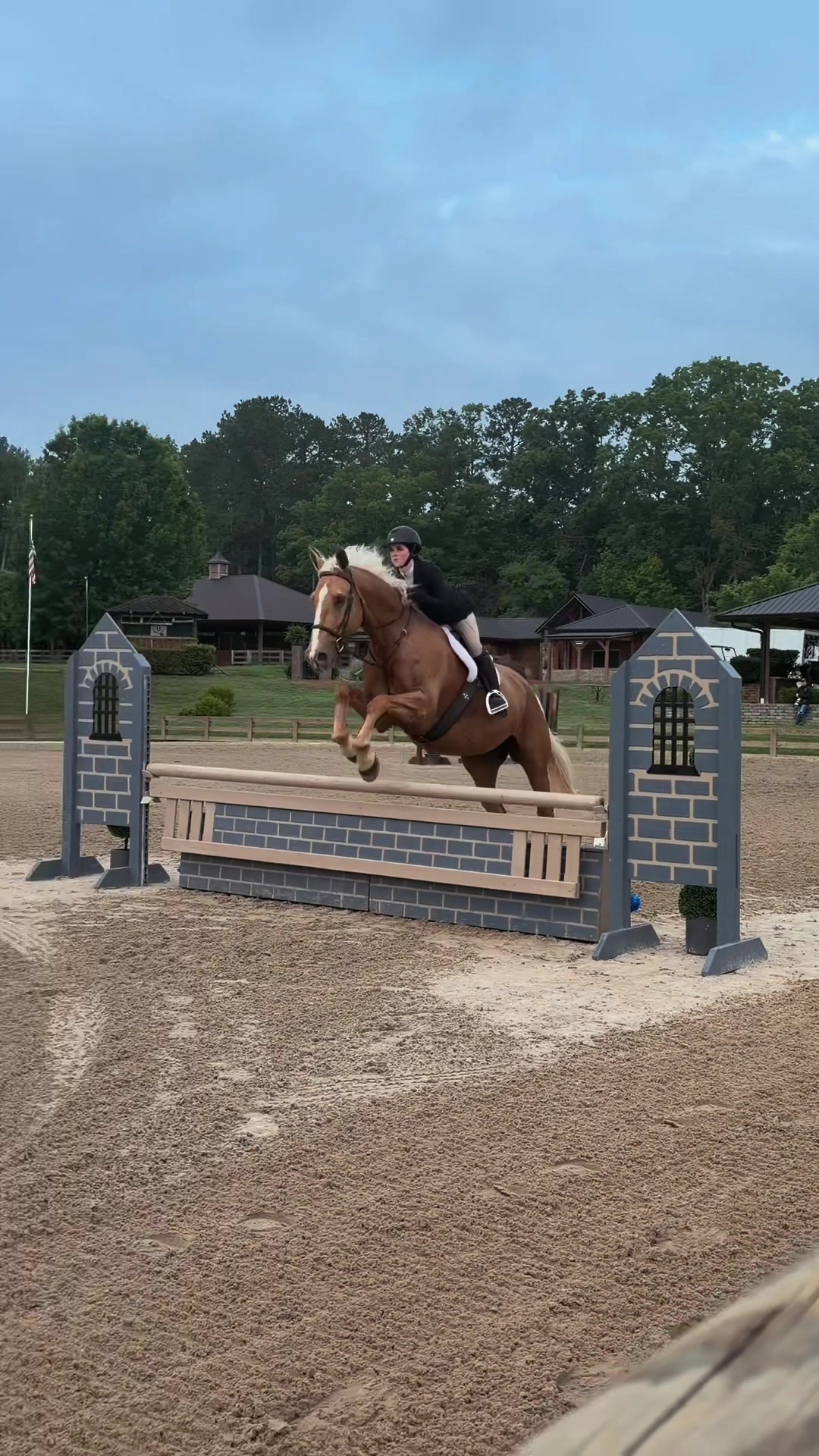 @🔥Neigh Neigh Nation🔥