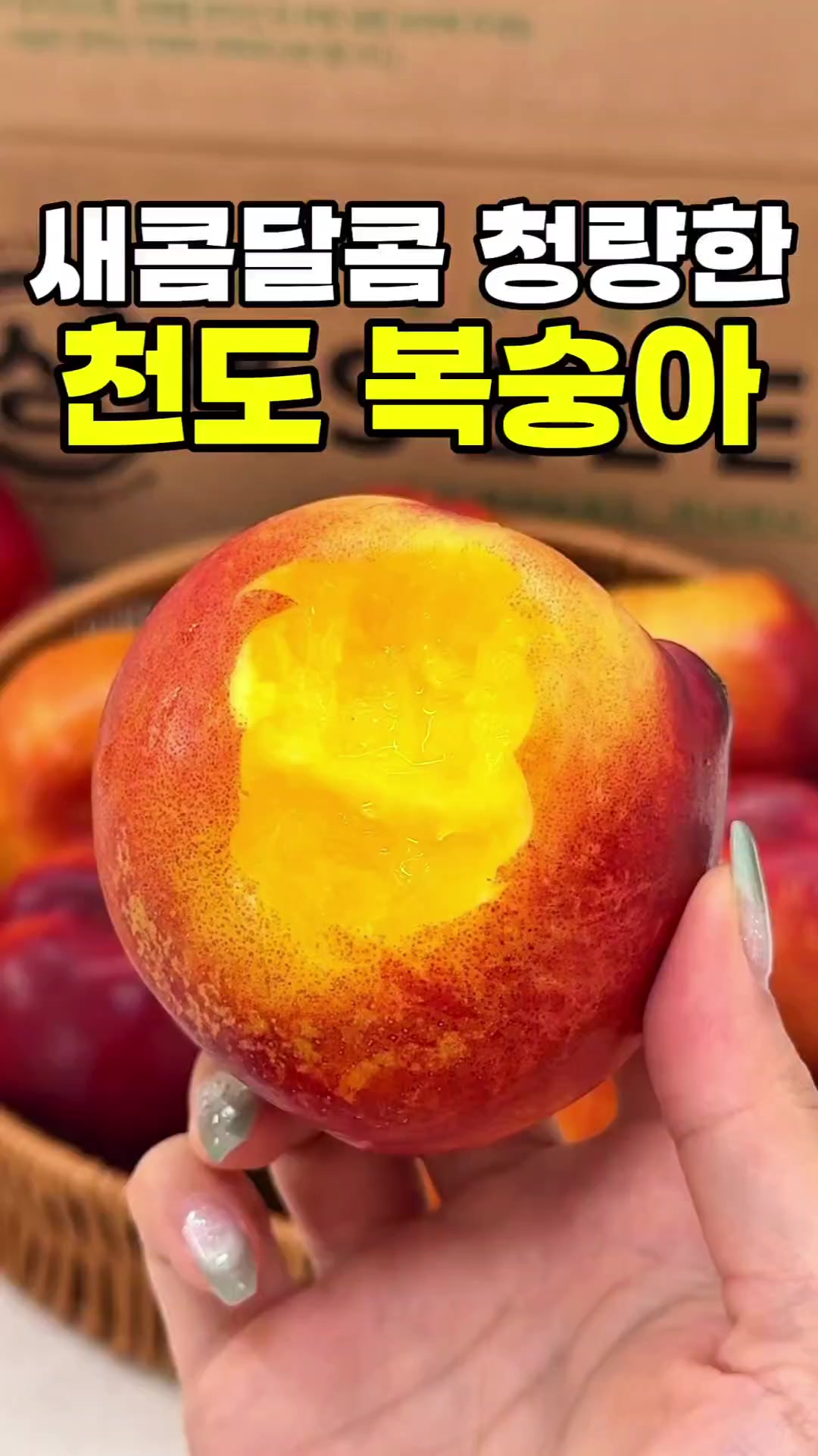 @싱싱햇 - 365일 싱싱한 햇 제철 먹거리