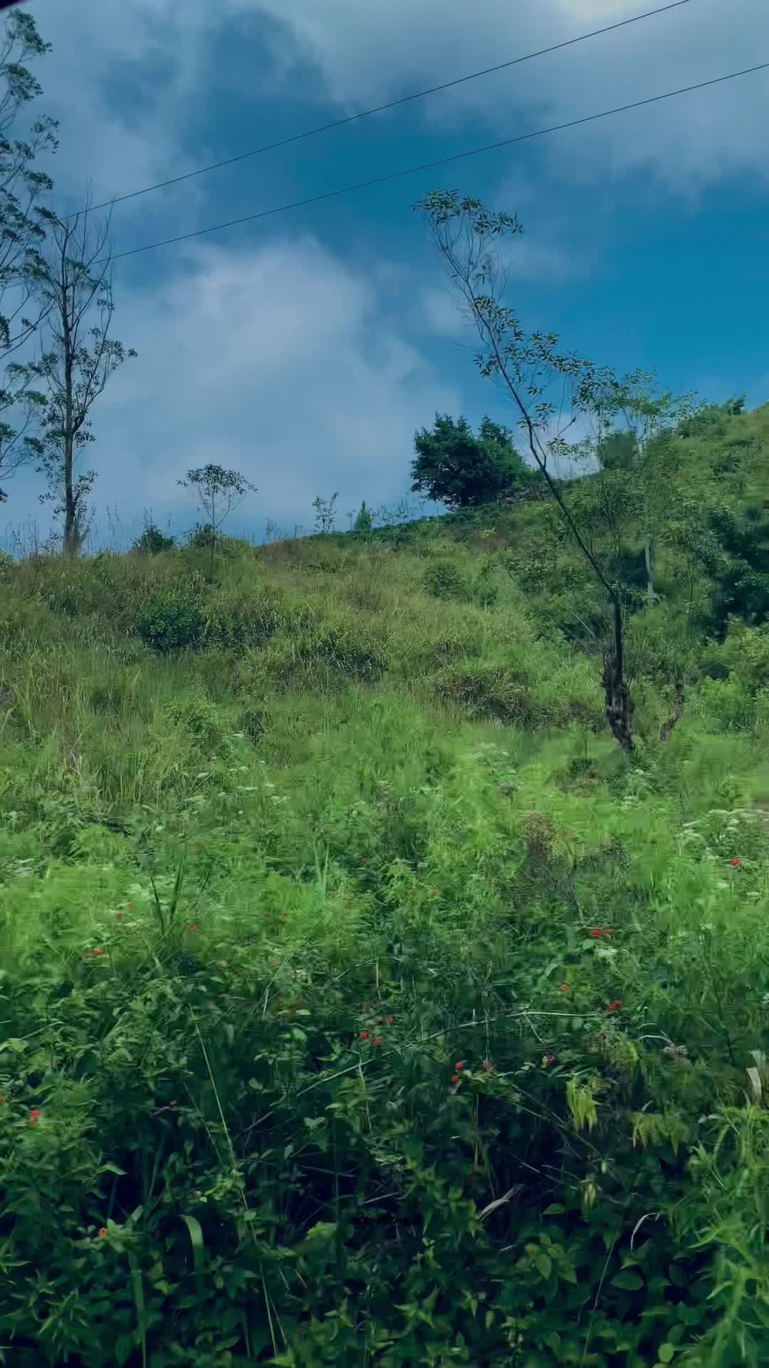 @𝗥𝗮𝘃𝗲𝗲𝘀𝗵𝗮 🦋
