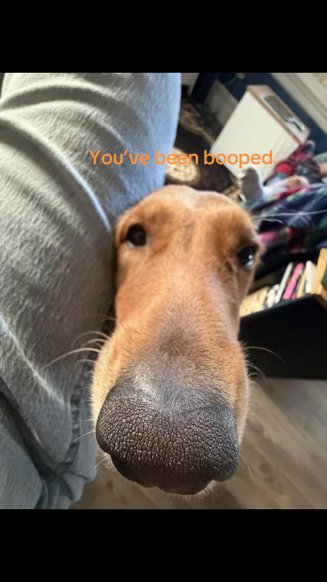 @Dewwwdropzz