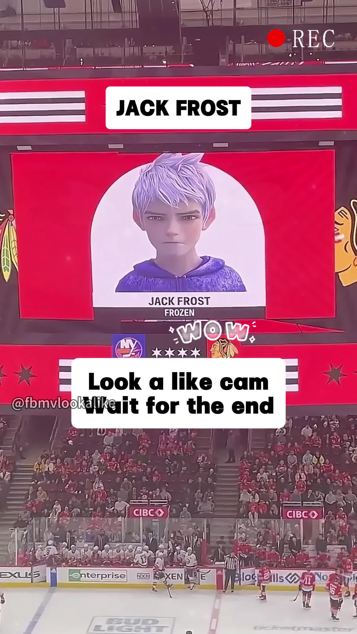 @fbmvlookalike