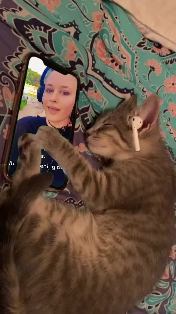 @CaffeLatteKitty