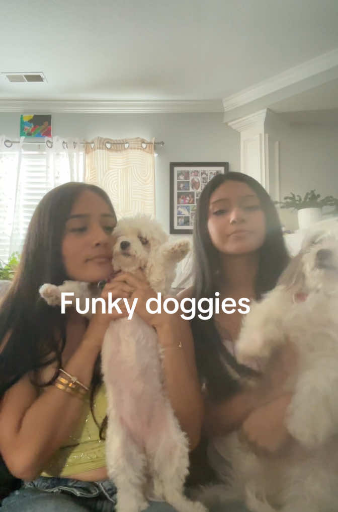 @_a19