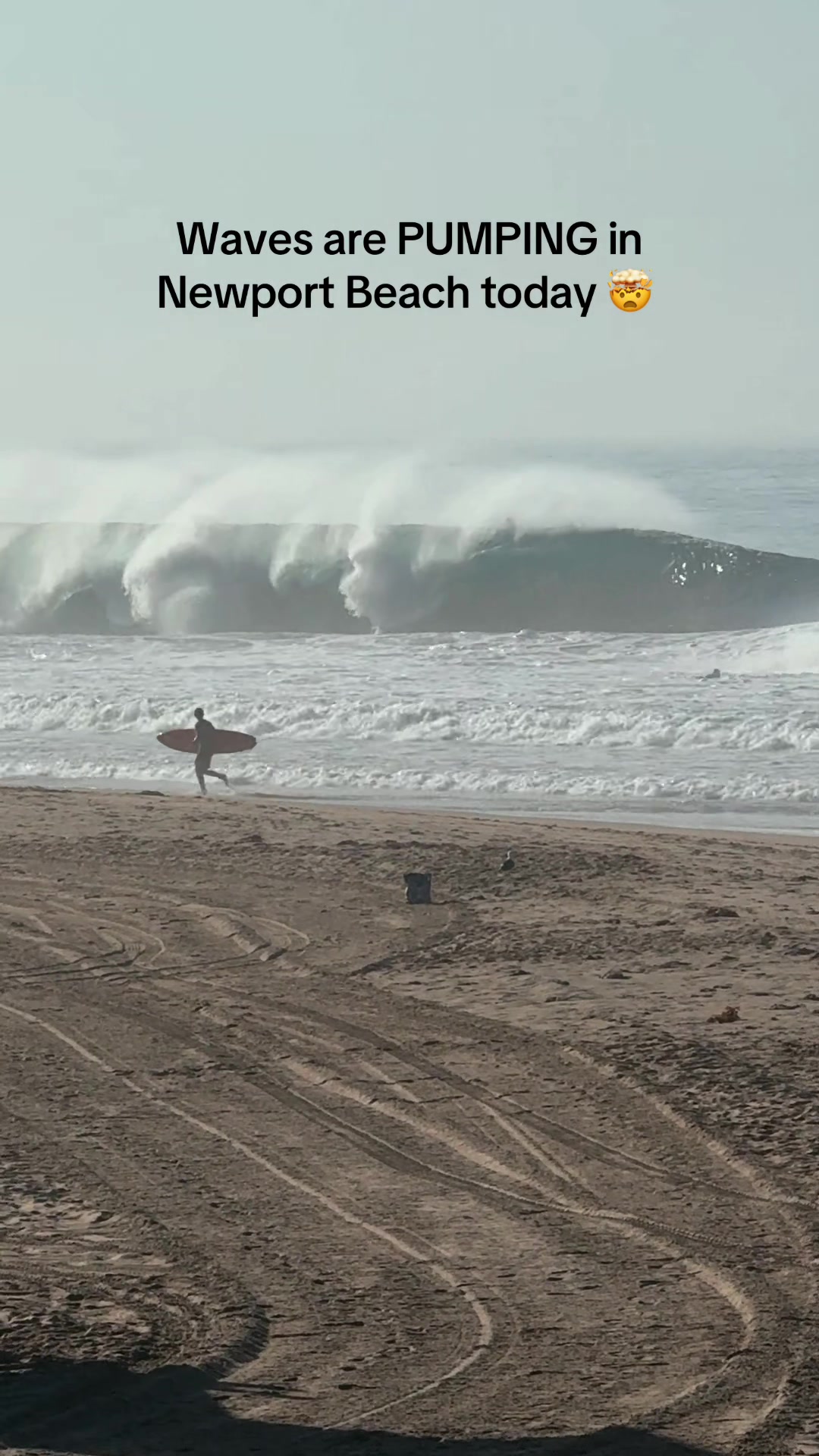 @Surftok