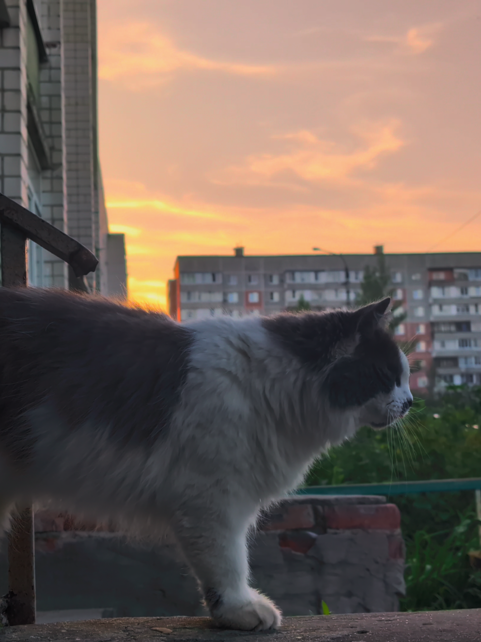 @ты тут?