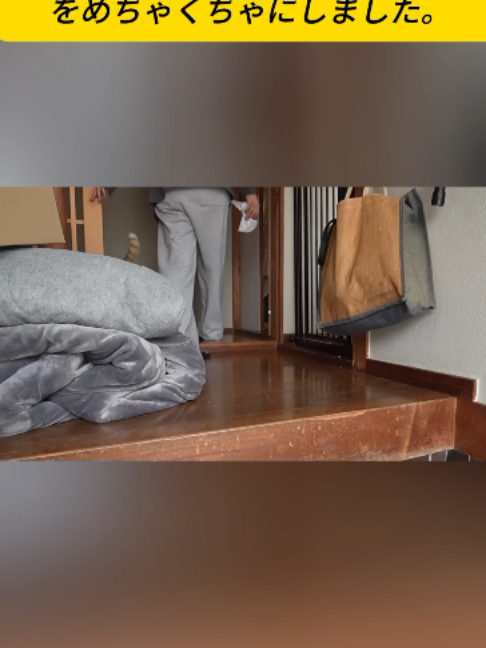 @ねこびより