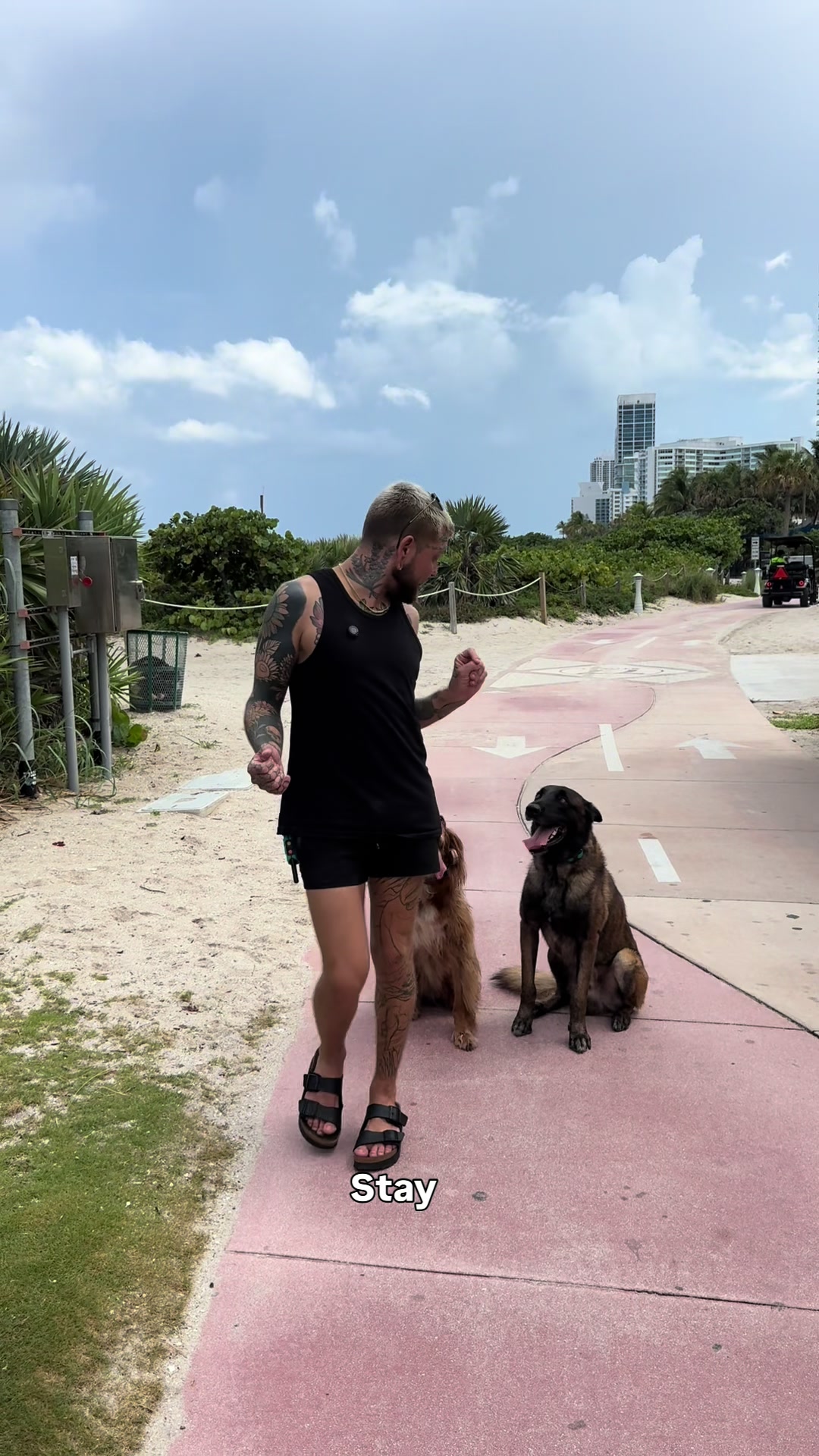 @balancedcanineacademy