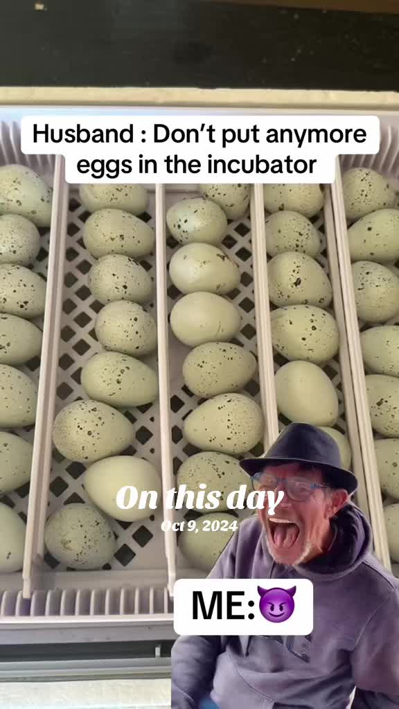 @NonniesFunnyFarm