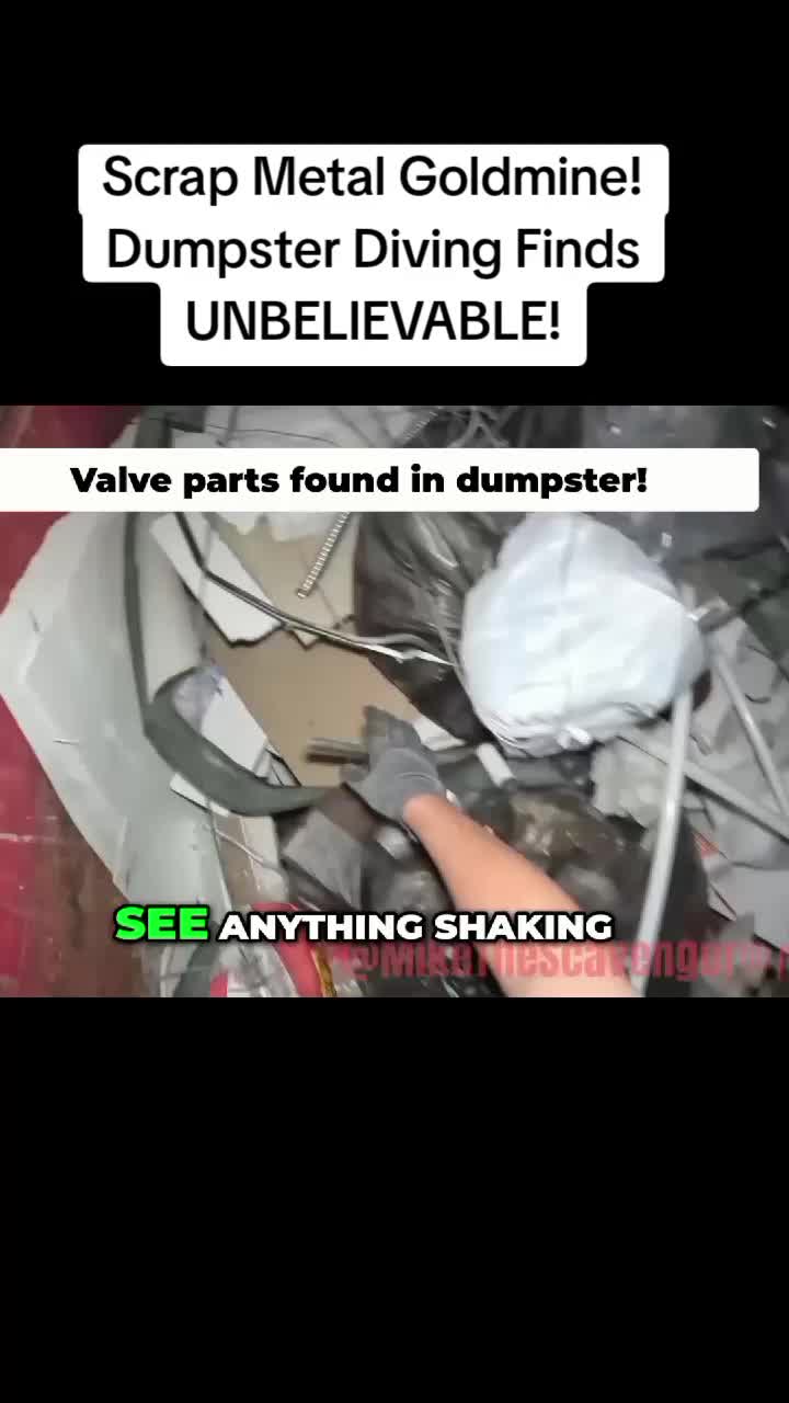 @dumpster diving