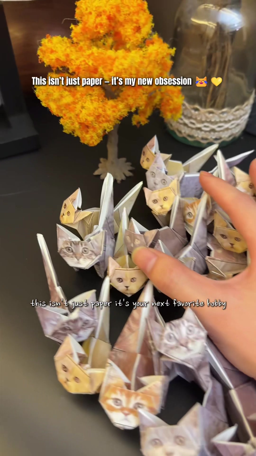 @Furry Nest