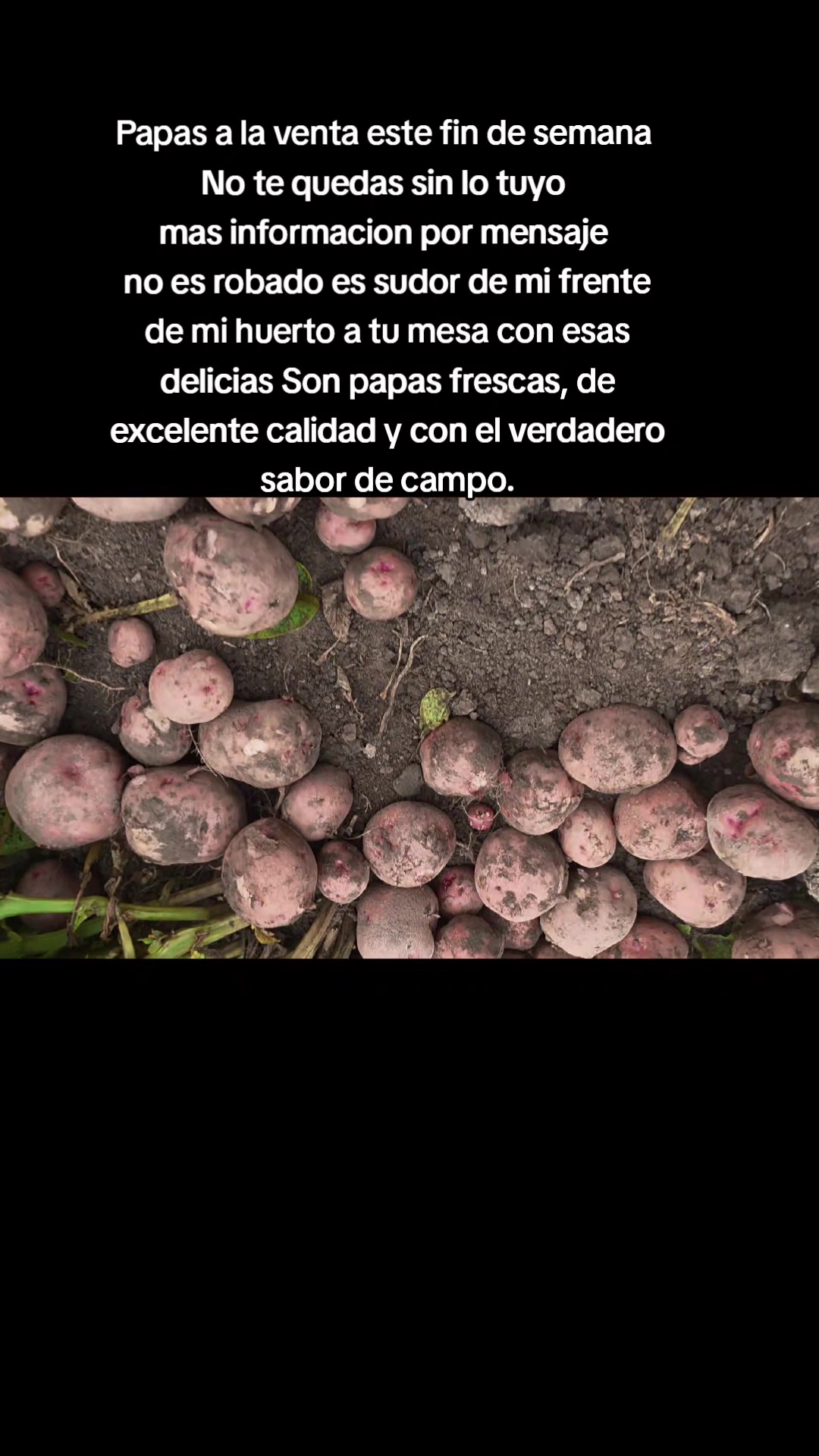 @𝙇𝙪𝙞𝙞502👨&zwj;🌾