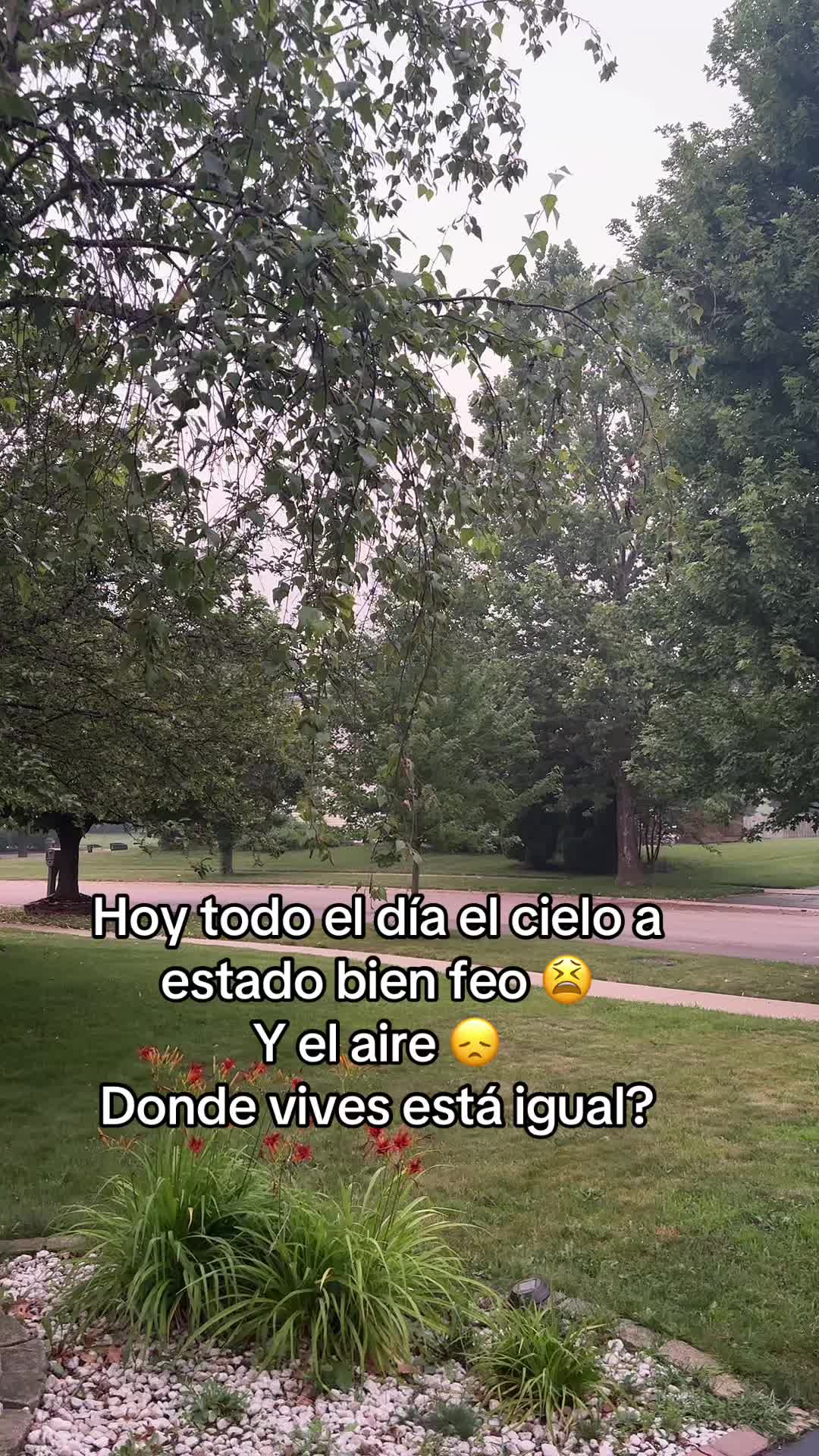 @yinetmarien