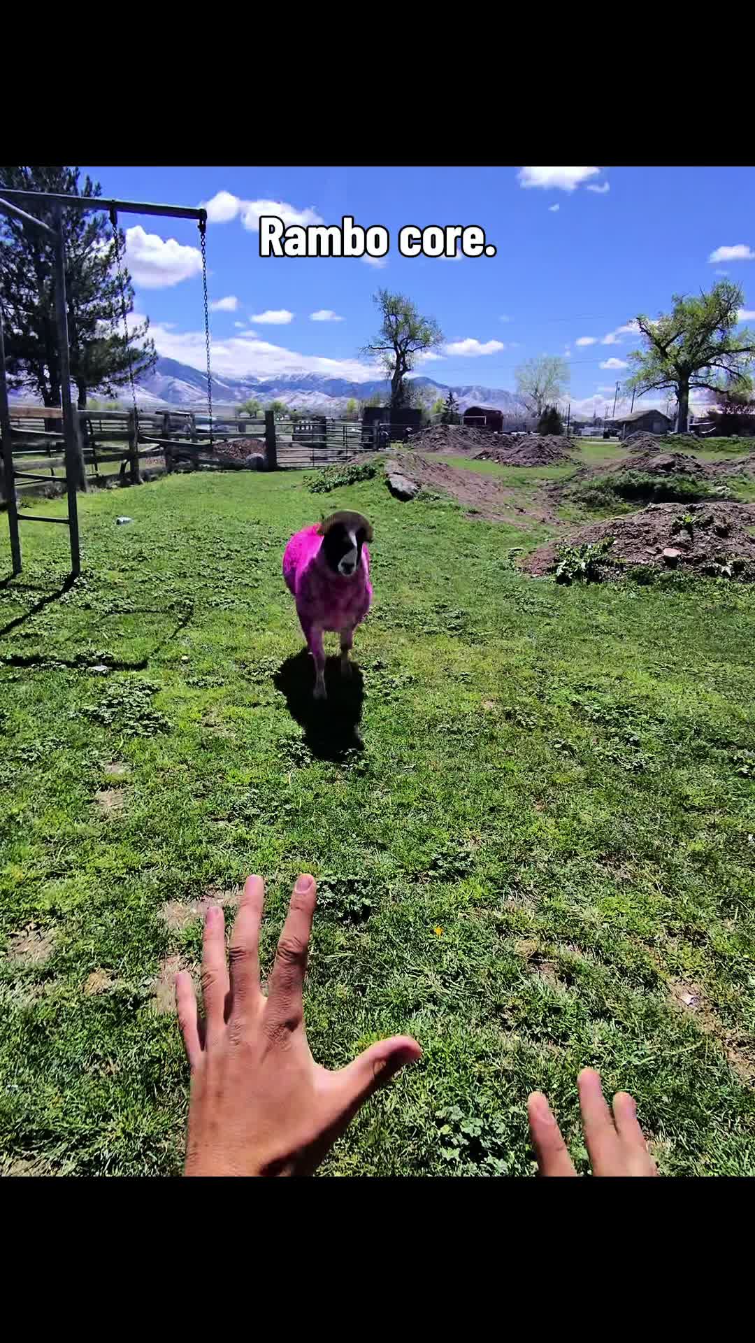 @happi acres