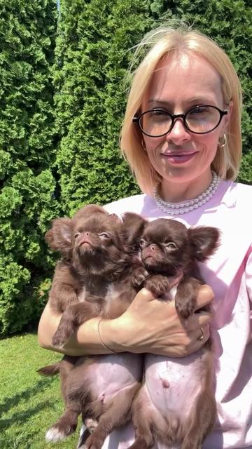 @Mina CHI&rsquo;s for adoption 🐶🌸