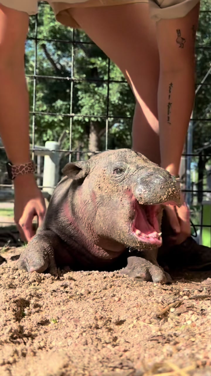 @TanganyikaWildlifePark