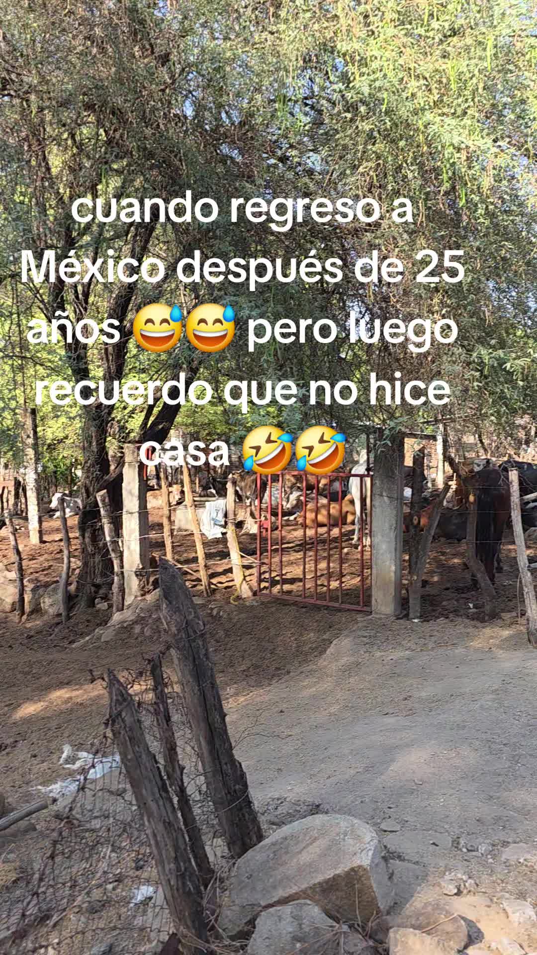 @Estela Torres