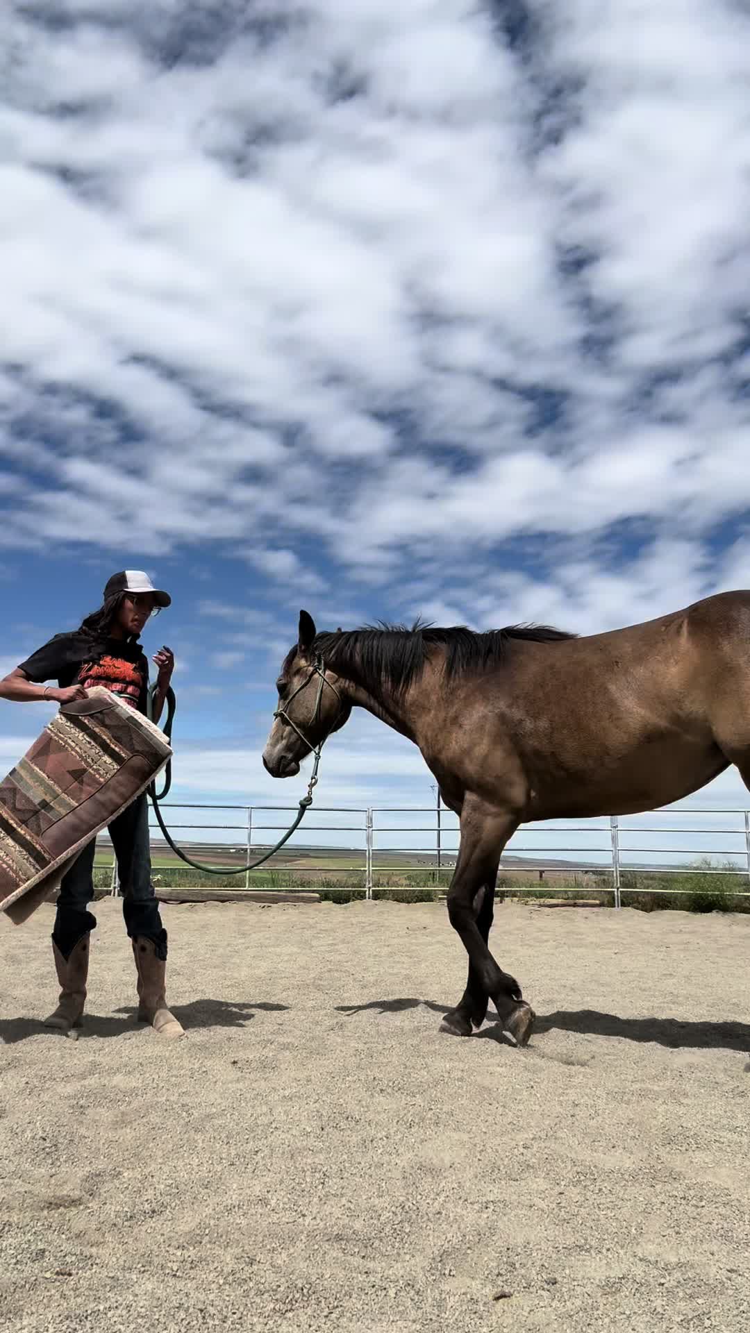 @Cowgirl Tuff Colt Training ❤️